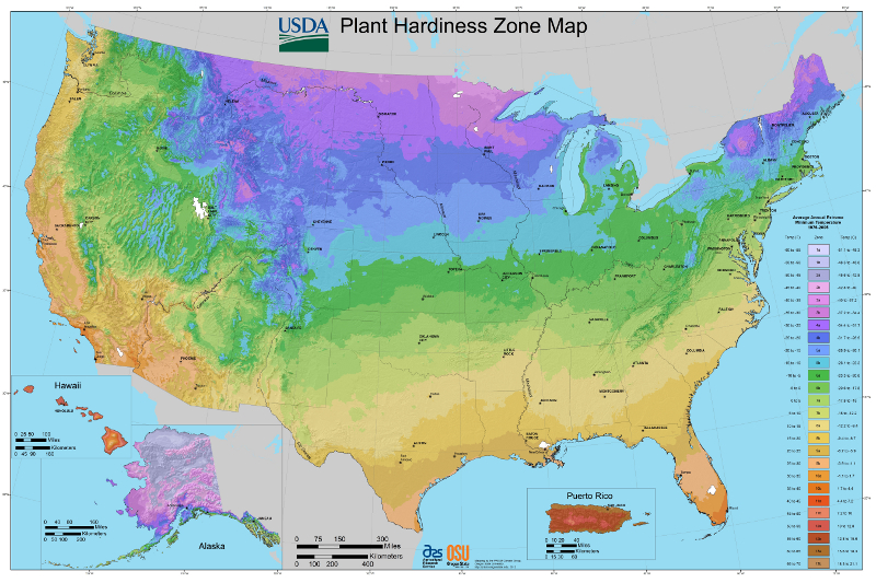 All_states_halfzones_image_300dpi