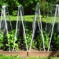 PVC pipes, glue, and netting make for a great weather resistant trellis that is nearly limitless for space configurations. (Found on Survival Punk)