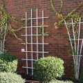 Secure a trellis like these from Quality Arbors to the wall for a variety of looks. These types of trellises are best anchored into the ground or in a deeper pot as well as to the wall for stability.
