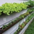 Small spaces can be used with great effect. Just grab a gutter, screw it to a wall, and get to planting.