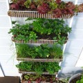Think small and vertical if you need to. This spice rack from Everyday Gardener's is an ingenious way to grow herbs and lettuces or small flowers.