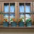 Perky tomatoes in simple pots can brighten any window -- especially when you can just reach out and grab one.