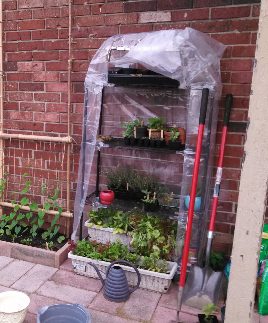 GhettoGreenhouse